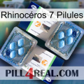 Rhinocéros 7 Pilules viagra5